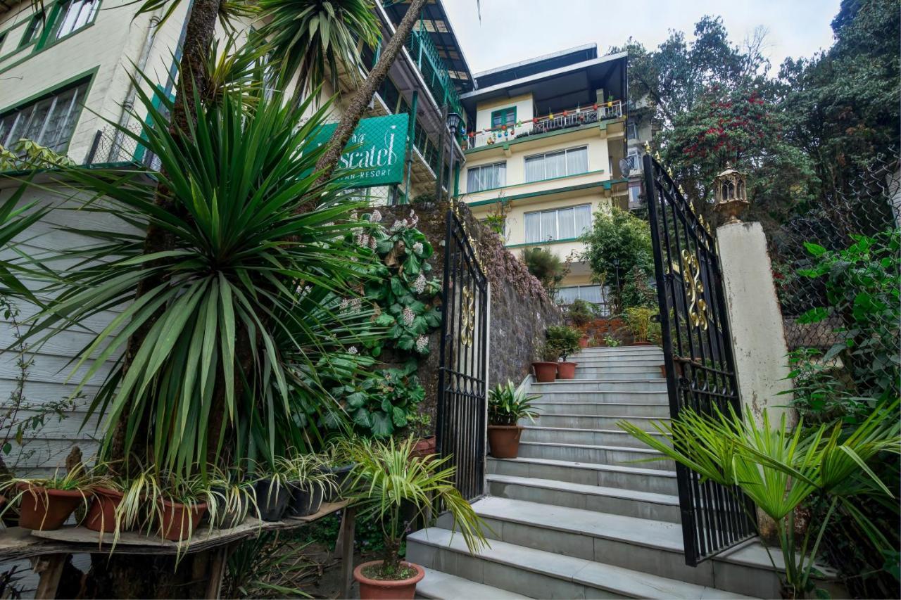 Muscatel Himalayan Resort - 400 Mts From Mall Road Darjeeling (West Bengal) Exterior foto